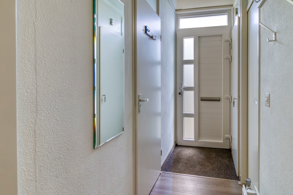 Lamsoor 5 Nieuwvliet-10.jpg